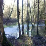 Kranichwiese *