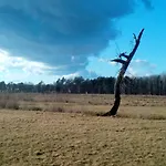 Kranichwiese *