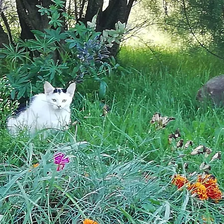 Kranichwiese Apartmán *