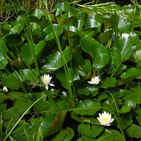 Kranichwiese Apartmán