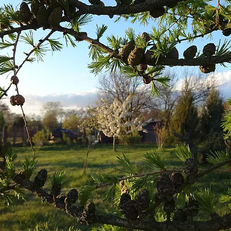 Kranichwiese Apartamento *