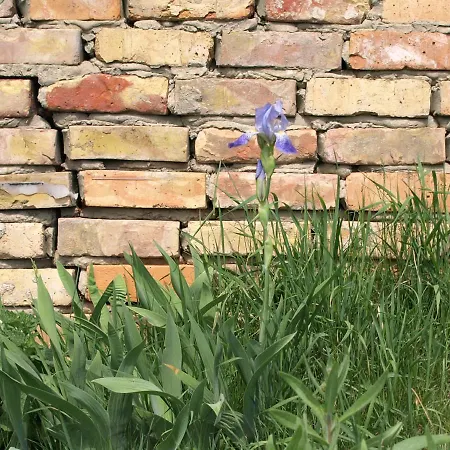 Kranichwiese Apartamento