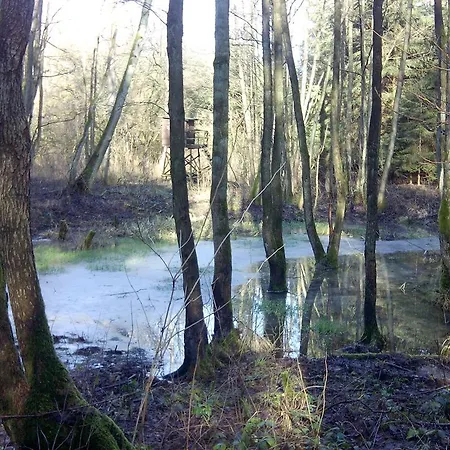 Kranichwiese *