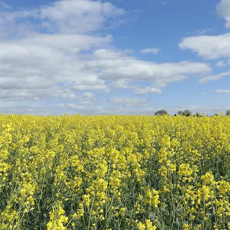 Kranichwiese Apartamento Göhren-Lebbin