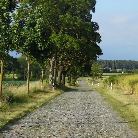 Kranichwiese Göhren-Lebbin