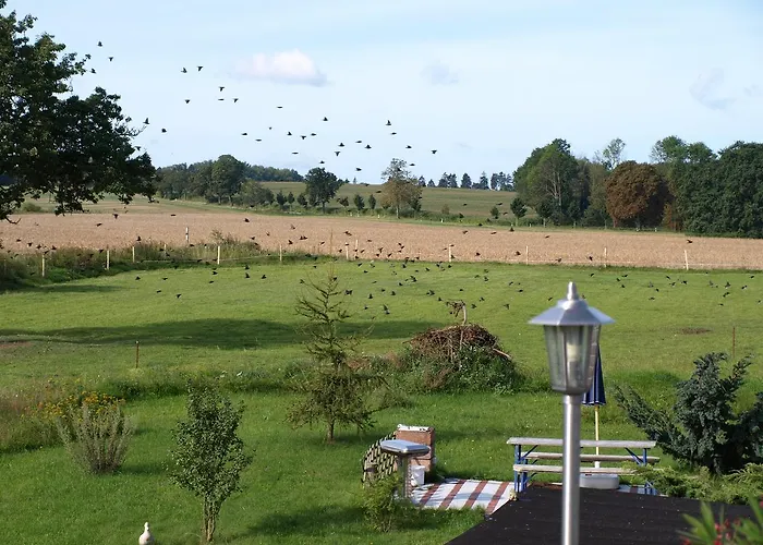 Kranichwiese