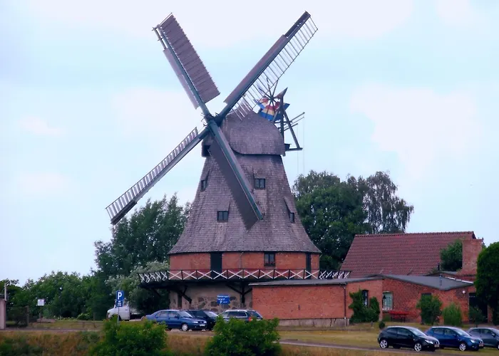 Kranichwiese Göhren-Lebbin