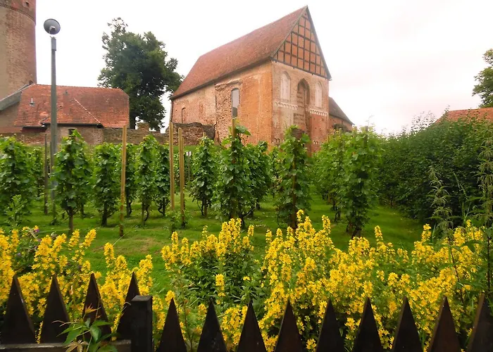 Kranichwiese * Göhren-Lebbin