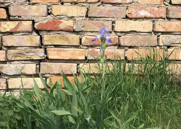 Kranichwiese Apartamento