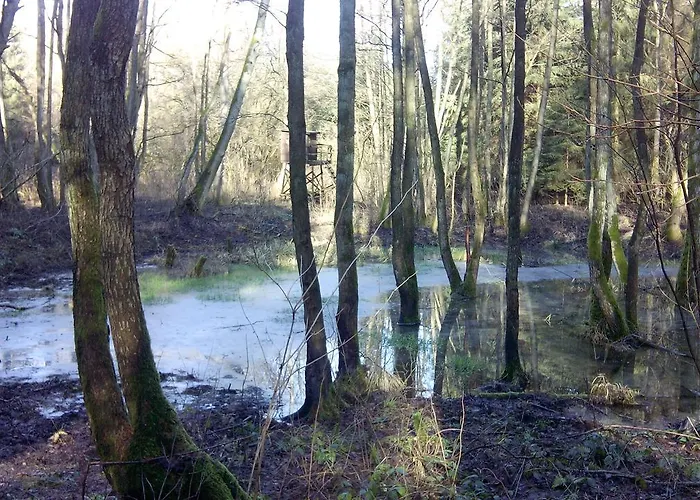 Kranichwiese *