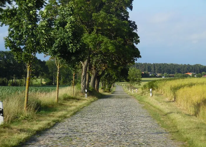 Kranichwiese Göhren-Lebbin